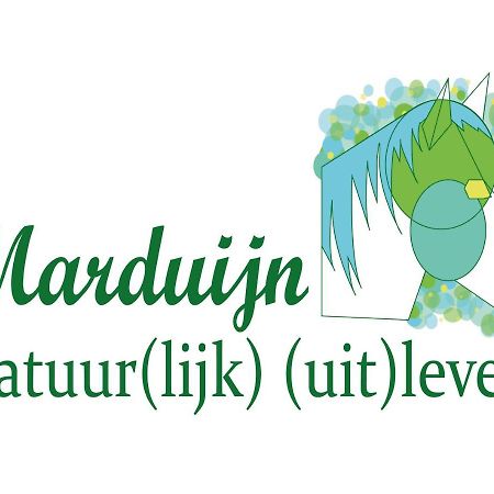 הוילה Lomm Marduijn מראה חיצוני תמונה