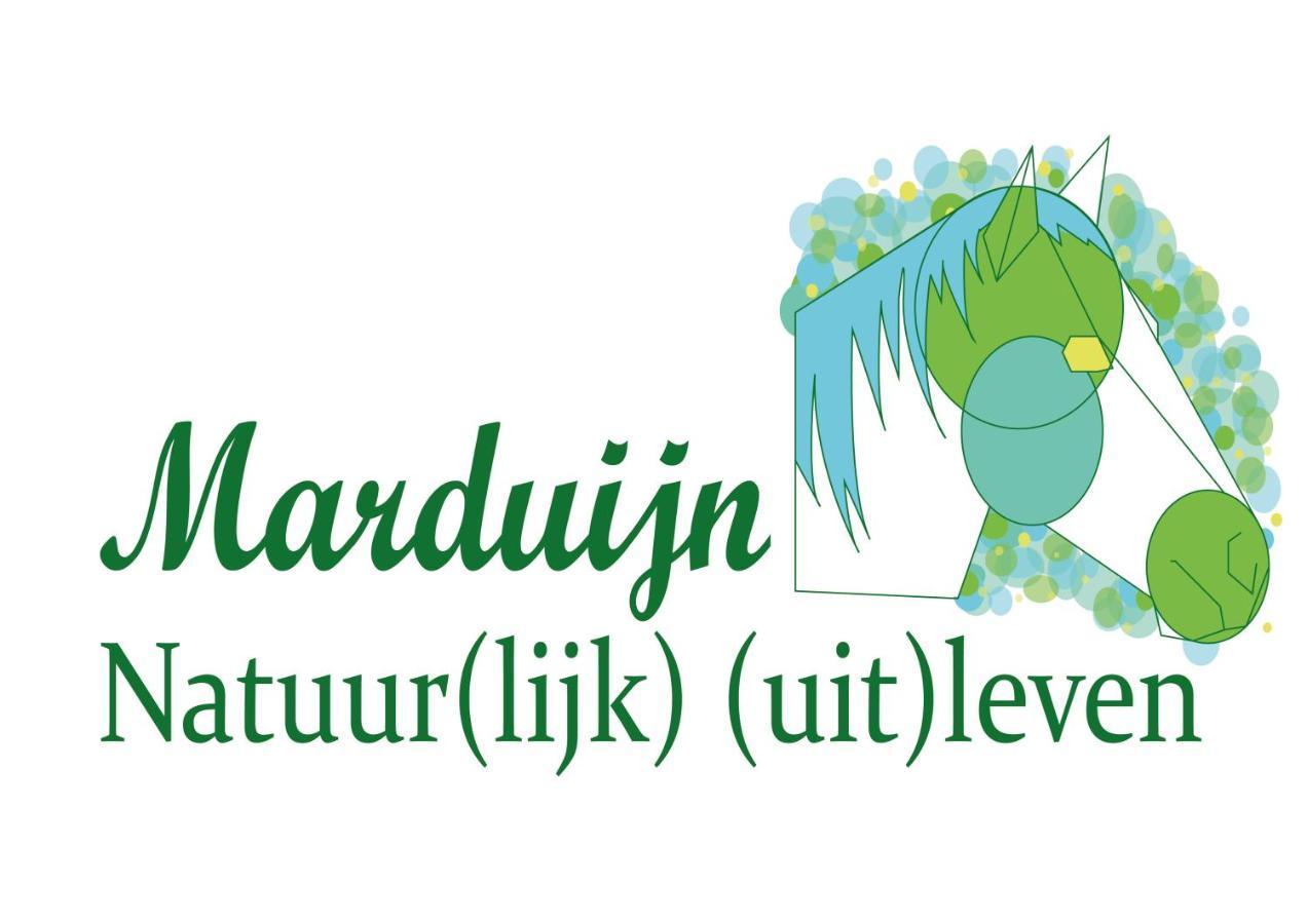הוילה Lomm Marduijn מראה חיצוני תמונה